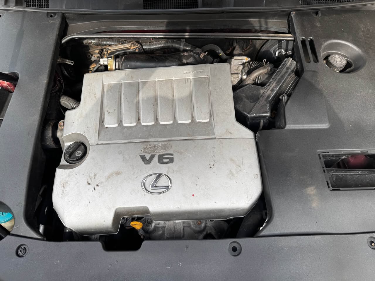 A picture of Fresh Lexus Es 350