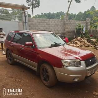 A picture of 2007 Subaru Forester