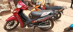 A picture of Car go bike Available Months used like new
