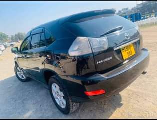 A picture of Harrier 14mln