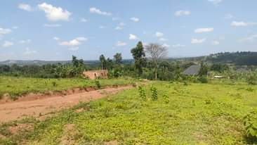 A picture of 50 by 100ft Plots For Sale GOBERO HOIMA ROAD with