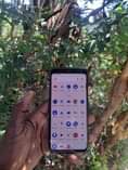 A picture of google pixel 4