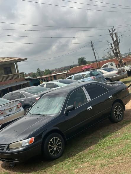 A picture of Pencil camry