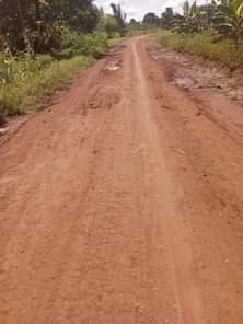 A picture of 3 fertile acres on sale all at 30m it s