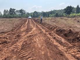 A picture of Cheap plots KAKIRI TOWN COUNCIL 1km off tarmac
