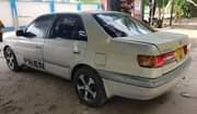 A picture of Premio corona