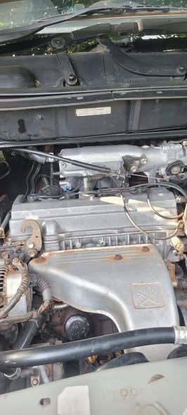 A picture of Harrier 2 2cc