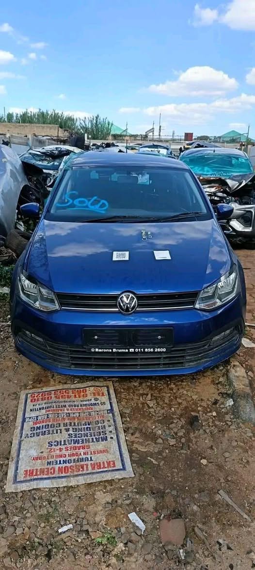 Sheillah K.