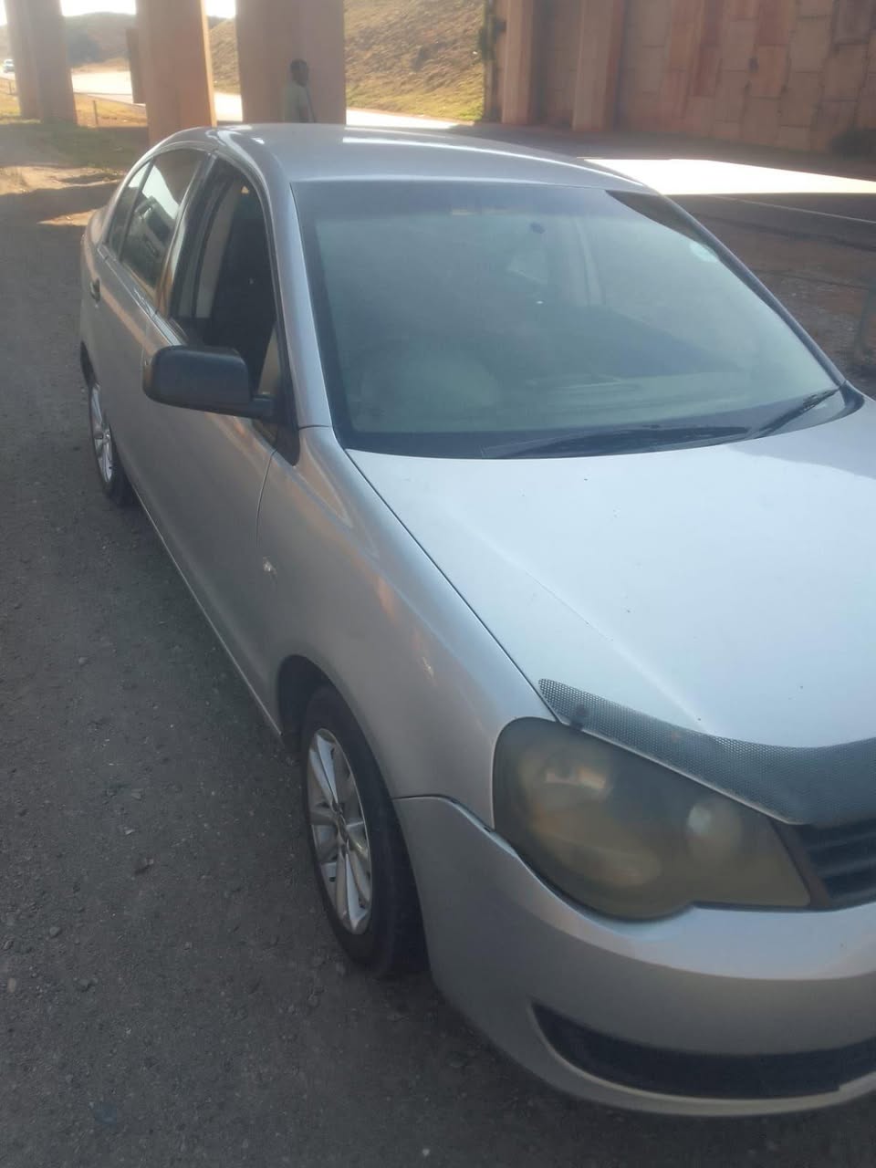 polo vivo