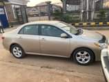 A picture of corolla