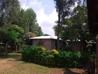 A picture of Iam selling this plots ready for residential and settlement electricity