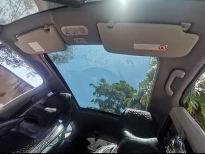 A picture of Nissan Dualis
