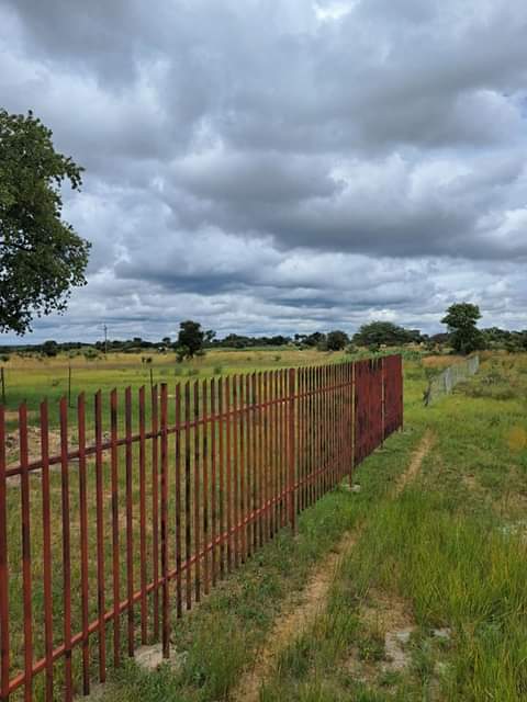 stands