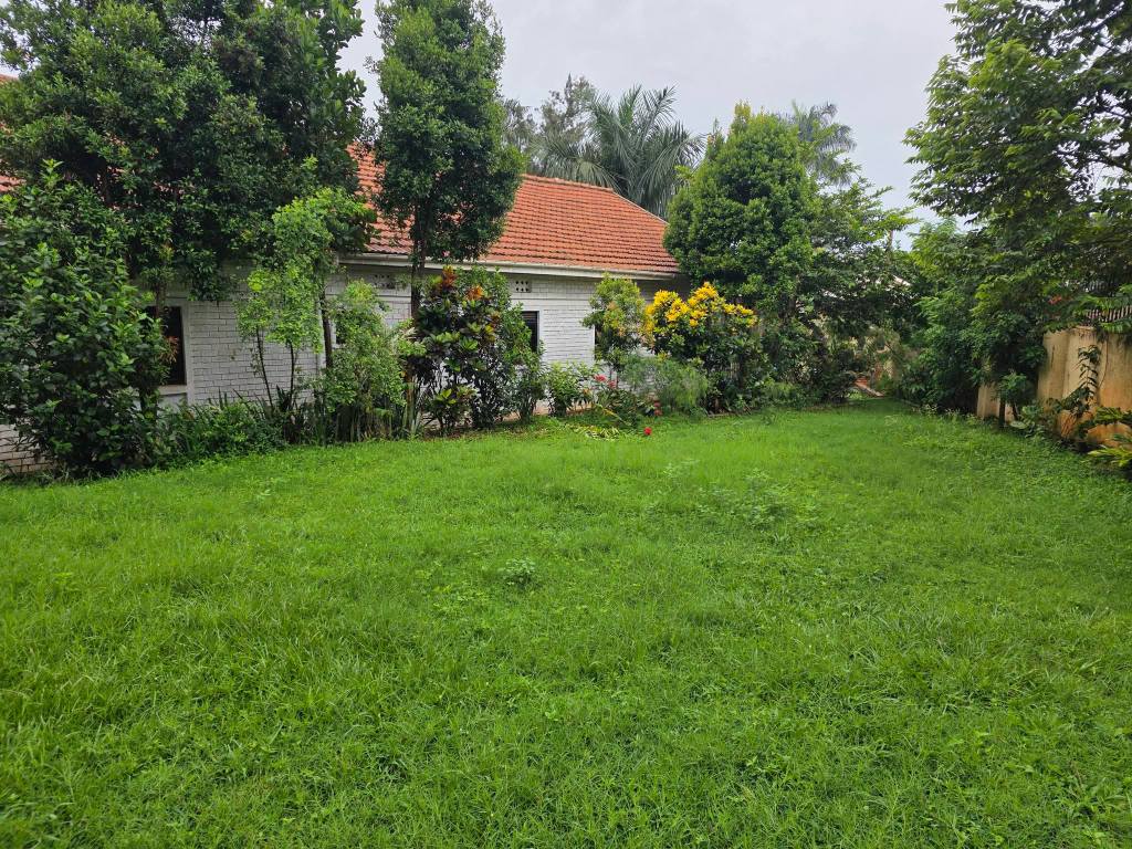 A picture of 49DECIMALS LAND IN BUKOTO AT UGX1 5BILLION