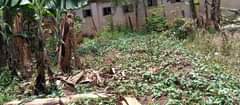 A picture of A plot for sale with 3 rooms at 12m electricity