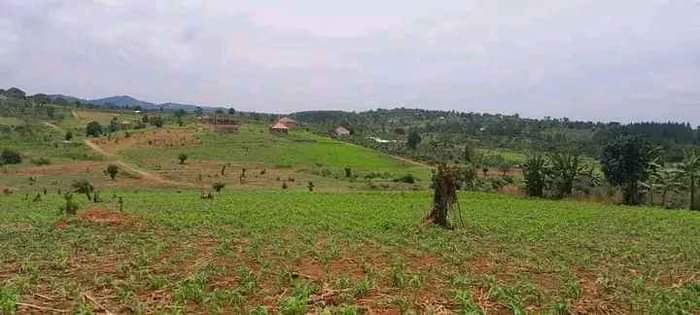 A picture of WAKISO KAKIRI TOWN ESTATES WITH TITLES NEAR KAMPALA 7M 20M