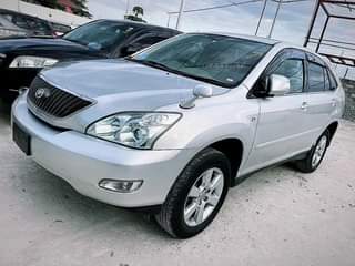 A picture of Novickmotors