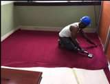 A picture of Wall to Wall Carpet 0757408702 0771452433