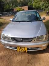 used toyota corolla