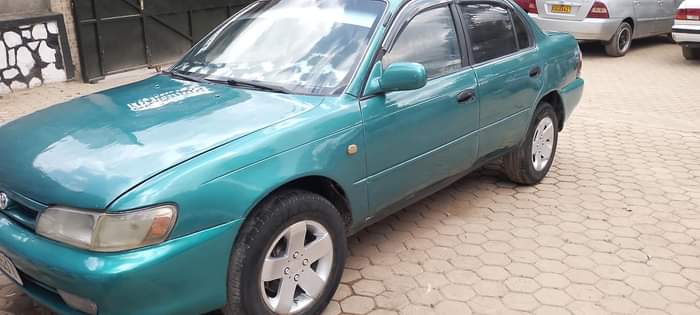 used toyota corolla