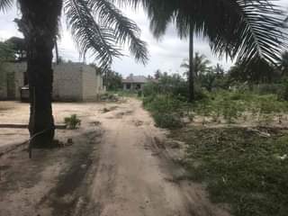 A picture of Banda linauzwa kitonga