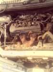 A picture of Amera Tino for sale engine and gear is parfetly ok