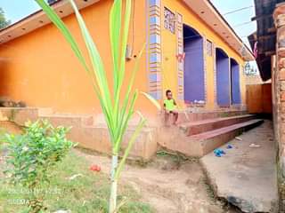 A picture of House