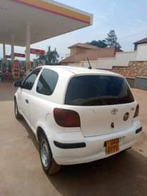 A picture of Vitz