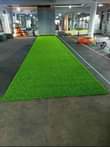 A picture of Grass Carpet