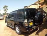 A picture of Pajero bitama