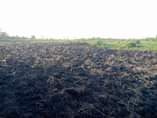 A picture of 0765291521 0679291521 SHAMBA HEKA 10 MWANZOMGUMU CHANIKA