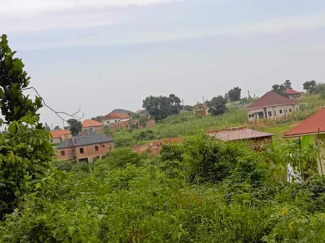 houses matugga