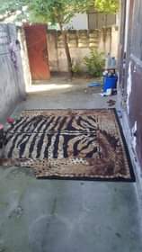 carpets