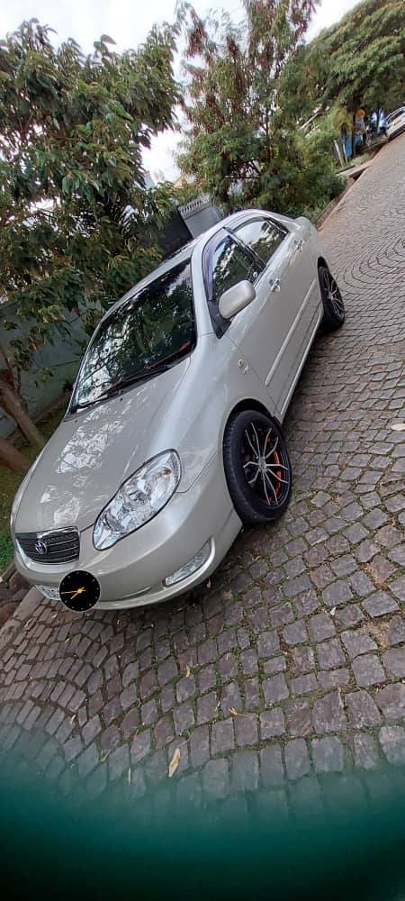 cars