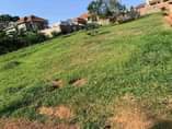 A picture of Land entebbe