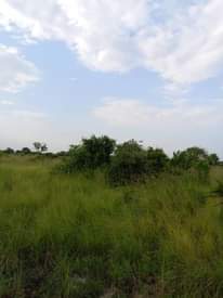 A picture of Kiwanja kinauzwa kiluvya makurunge milion 6 ukubwa sqm 612