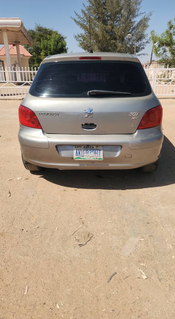 A picture of Peugeot 307