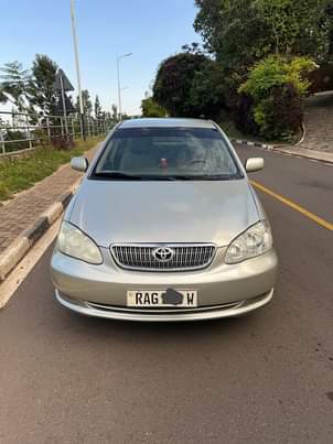 used toyota corolla