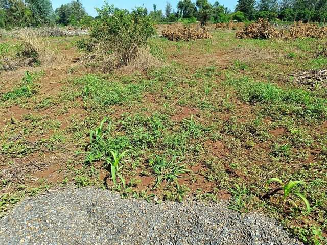 makutano plots