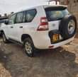A picture of TX 2017 ORIGINAL 160M
