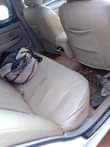 A picture of 