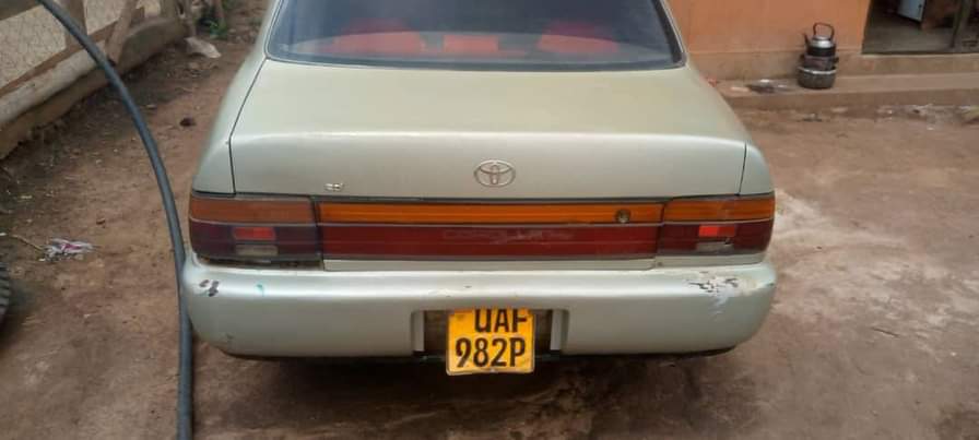 A picture of Toyota collora kikumi