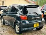 A picture of Vitz