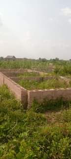 A picture of Land foundation