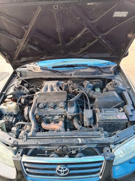 A picture of Drop light Camry