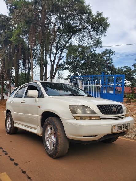 A picture of Harrier 2 2cc 0702818899
