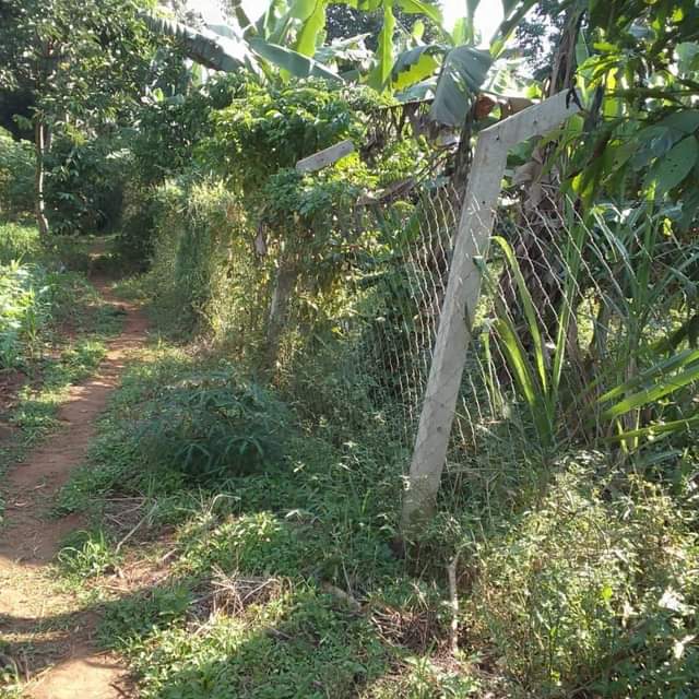 A picture of Land