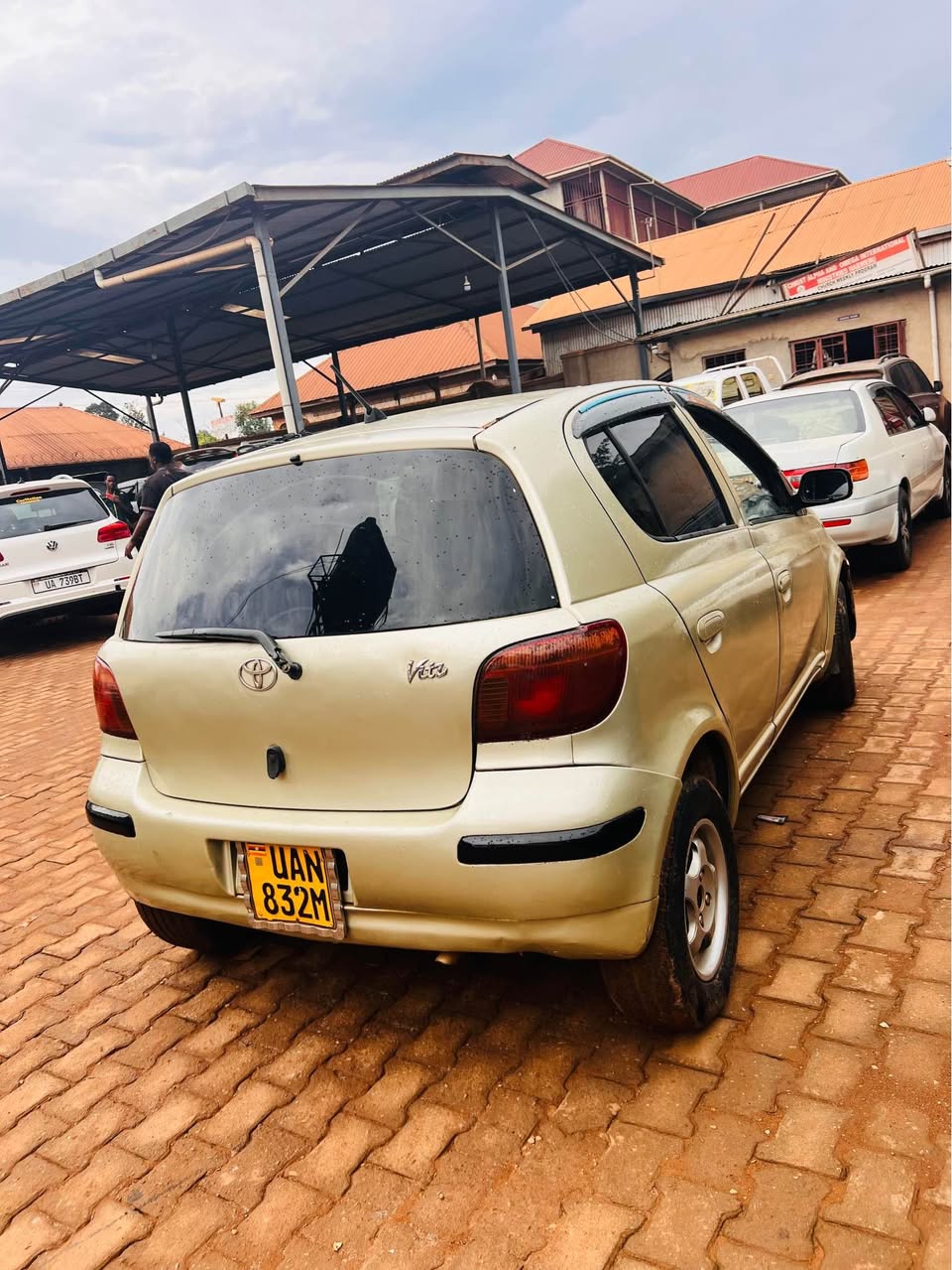 A picture of Vitz
