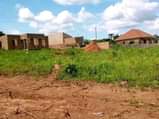 A picture of Wona obupangisa at only 1 5 m shs