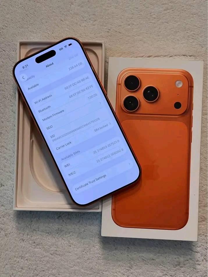 A picture of iPhone 17 pro max